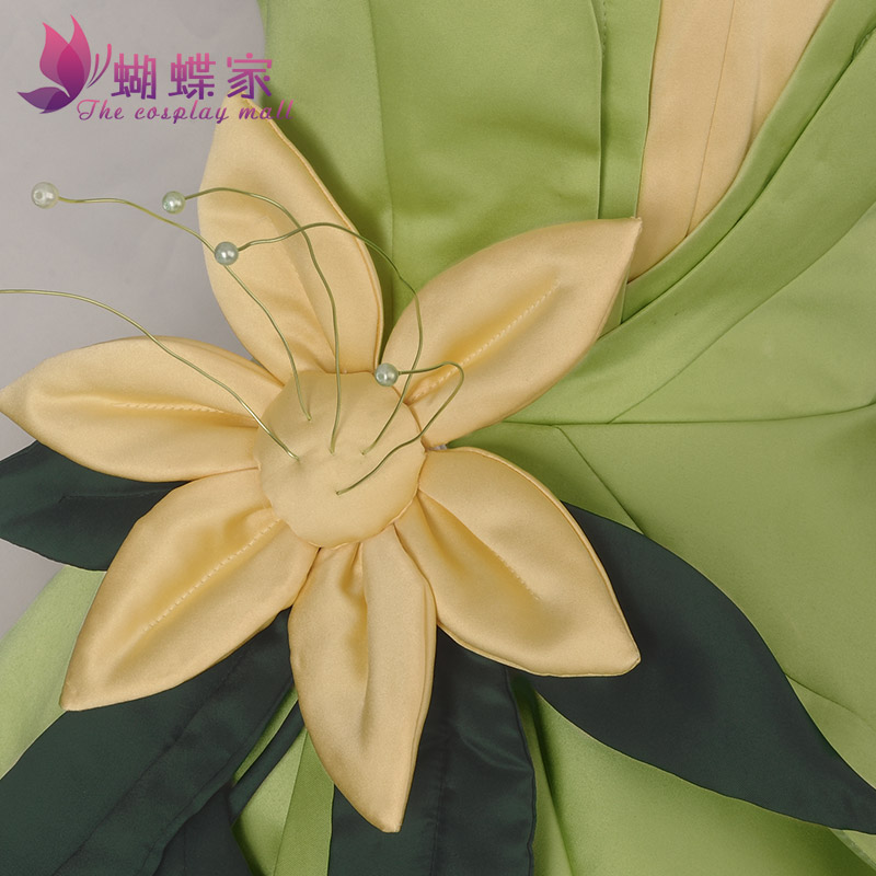 Prinzessin Tiana Kleid Cosplay – Women Knight Accessories Bewertung und Preis
